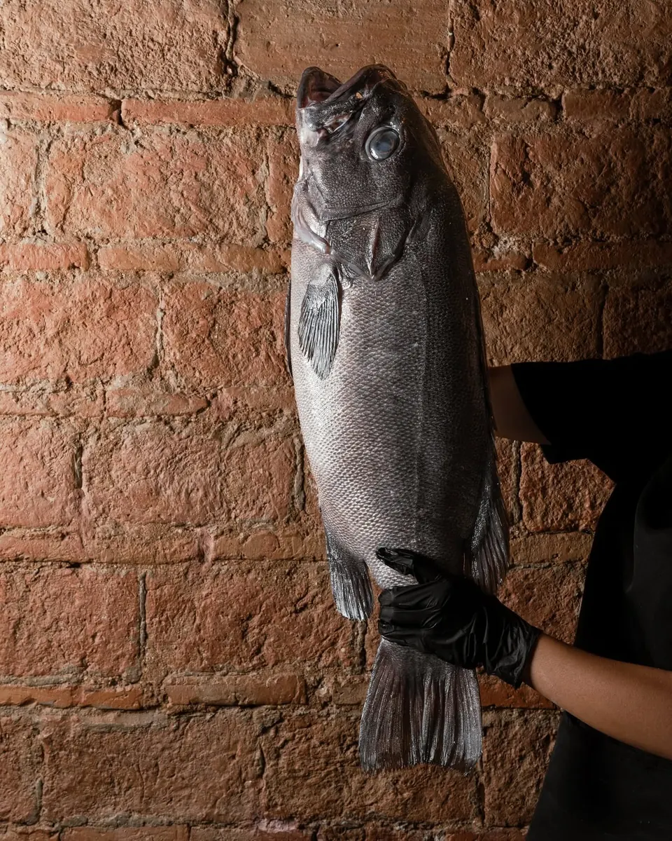 Un pescado entero sostenido contra la pared de ladrillo